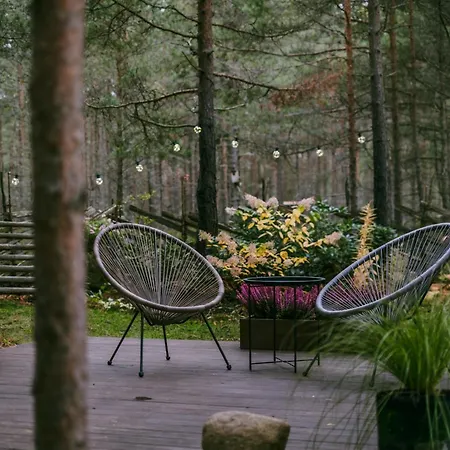 Heiniku Holiday home *